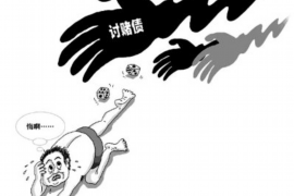 肃宁专业讨债公司有哪些核心服务？